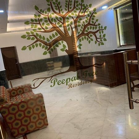 Peepal Tree Residency Bed & Breakfast New Delhi Ngoại thất bức ảnh